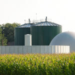 Da Gülle auch in Biogasanlagen verwendet wird, wurde geprüft, ob Antibiotika dort beseitigt werden können. © Dirk Grasse/piclease